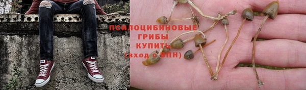 прущие грибы Нея