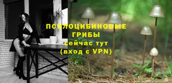крисы Балахна