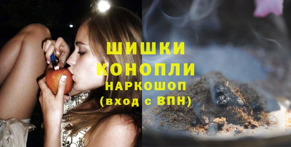 сатива Арсеньев
