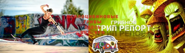 кокс Аркадак