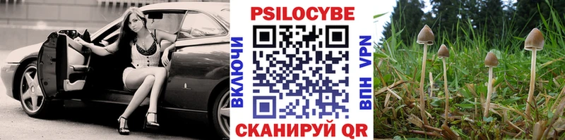 наркошоп  Михайлов  Галлюциногенные грибы Psilocybe 