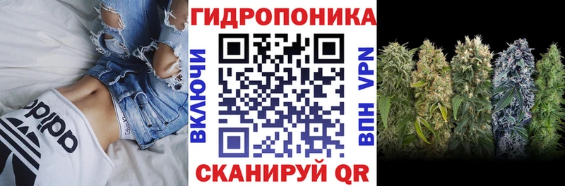 Бошки Шишки ГИДРОПОН Михайлов